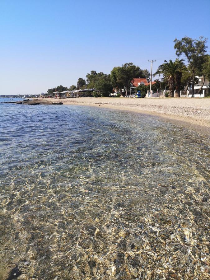 Aegean Sea Home Néa Mákri Kültér fotó